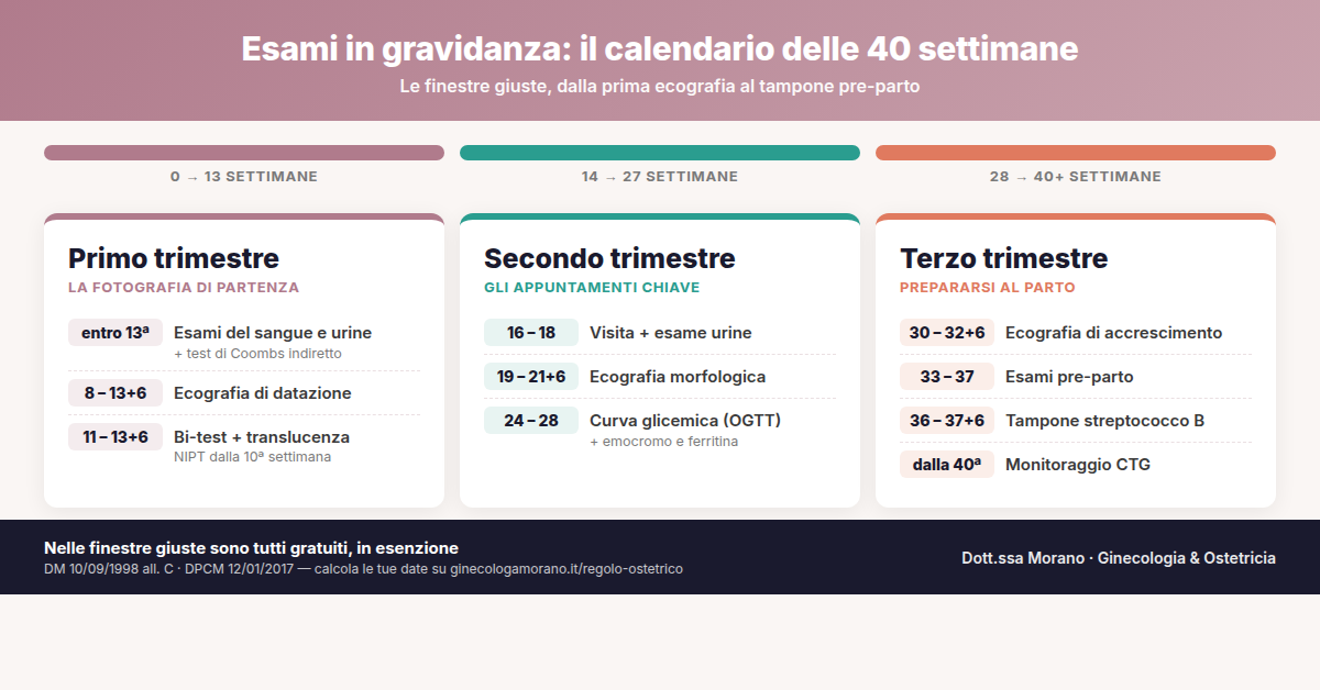 Infografica con timeline delle 40 settimane di gravidanza divisa nei tre trimestri e gli esami principali con le settimane raccomandate